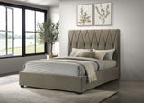 Delsea Panel Platform Bed - Furniture World