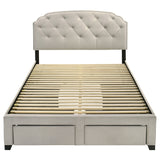 Marianna Panel Platform Storage Bed - Furniture World