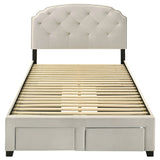 Marianna Panel Platform Storage Bed