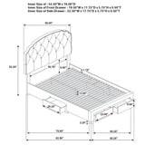 Marianna Panel Platform Storage Bed