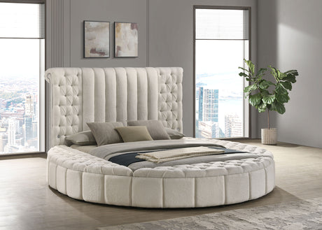 Sonya Panel Floor Storage Bed - Furniture World