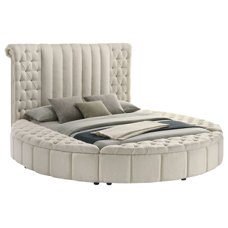 Sonya Panel Floor Storage Bed - Furniture World