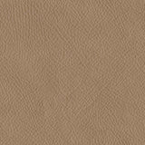 Bandon Oversized Accent Ottoman