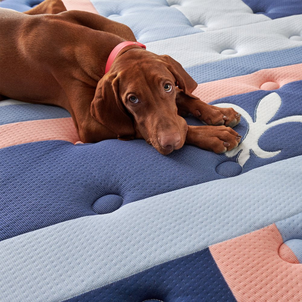 Stearns & Foster Reserve Duet