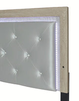 Jaylen Queen Upholstered Panel Bed in Gray