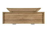 Elinora Dresser