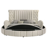 Sonya Panel Floor Storage Bed