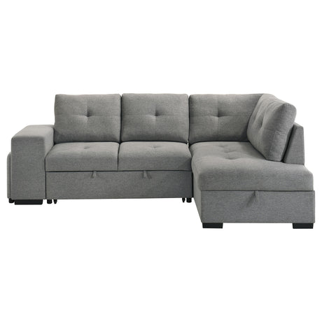 Roanne Pull-Out Sleeper Sectional Sofa - Furniture World