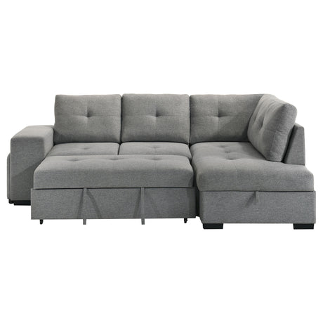 Roanne Pull-Out Sleeper Sectional Sofa - Furniture World