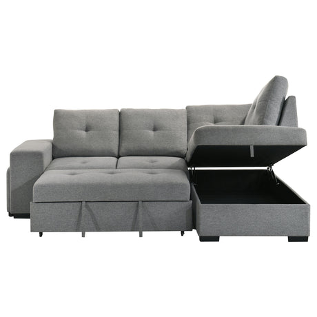 Roanne Pull-Out Sleeper Sectional Sofa - Furniture World