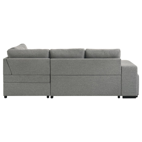 Roanne Pull-Out Sleeper Sectional Sofa - Furniture World