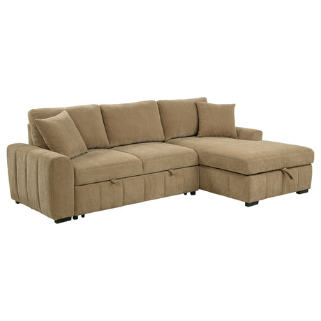 Pastrana Pull-Out Sleeper Sectional Sofa - Furniture World