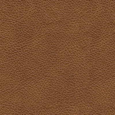 Carianna Loveseat - Furniture World
