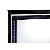 BELLANOVA Black Cal.King, E.King, & Queen Bed