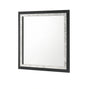 Crown Mark Furniture Rangley Dresser Mirror in Black image