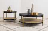 Arini Coffee Table Set - Furniture World