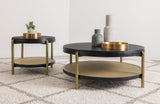 Arini Coffee Table - Furniture World