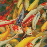 Koi Printed Canvas Painting