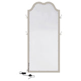 Evangeline Floor Mirror with LED Lighting