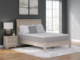Terra Sleep Medium Mattress