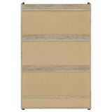 Denia Shoe Cabinet