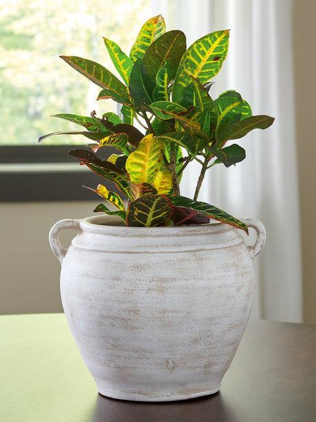 Meadie Vase - Furniture World