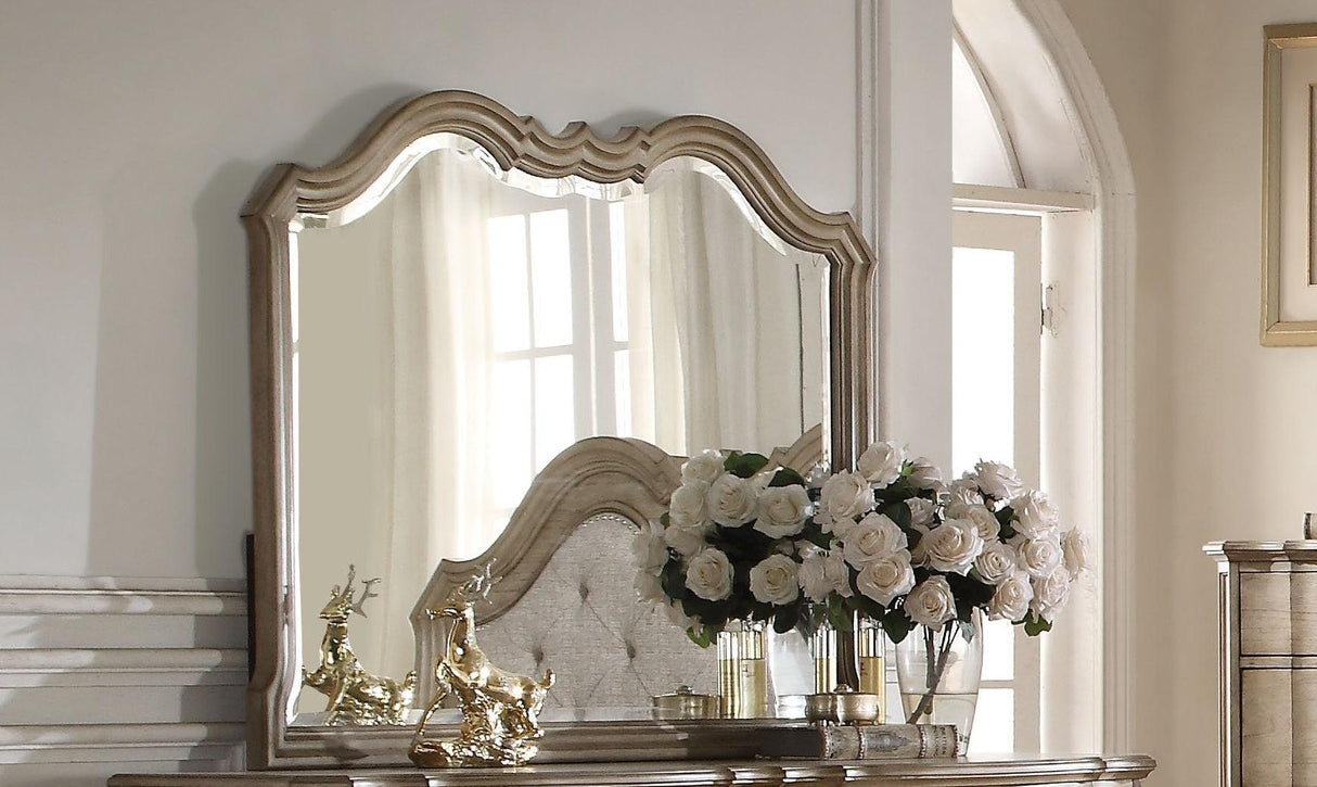 Acme Chelmsford Landscape Mirror in Antique Taupe 26054 - Furniture World