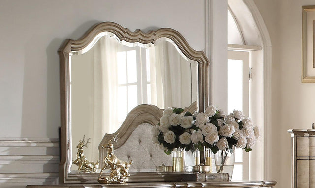 Acme Chelmsford Landscape Mirror in Antique Taupe 26054 - Furniture World