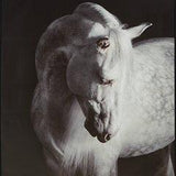 Archerwick Wall Art - Furniture World