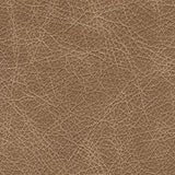 Bradney Swivel Accent Chair - Furniture World