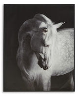 Archerwick Wall Art - Furniture World