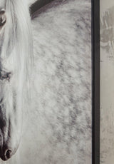 Archerwick Wall Art - Furniture World