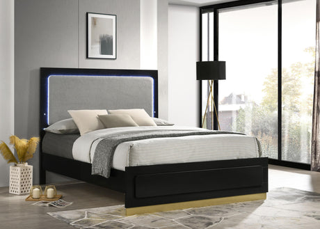 Caraway Panel Bed with LED Lighting - Furniture World