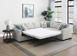 Ashford Fold-Out Sleeper Sectional Sofa - Furniture World