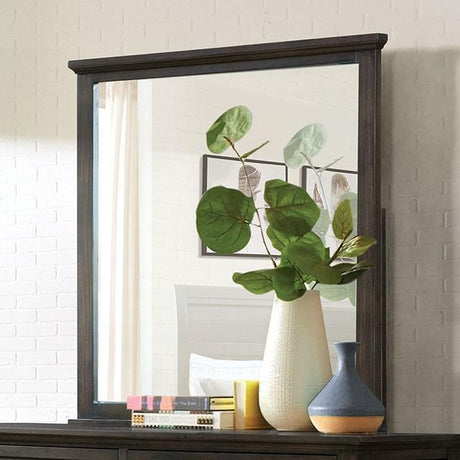 ALAINA 5mm Beveled Mirror - Furniture World