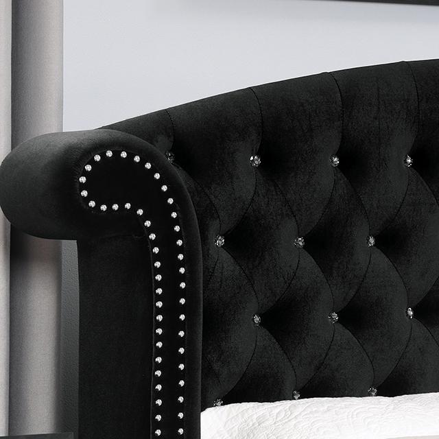 Zohar Bed Black & Pink - Furniture World
