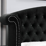 Zohar Bed Black & Pink - Furniture World