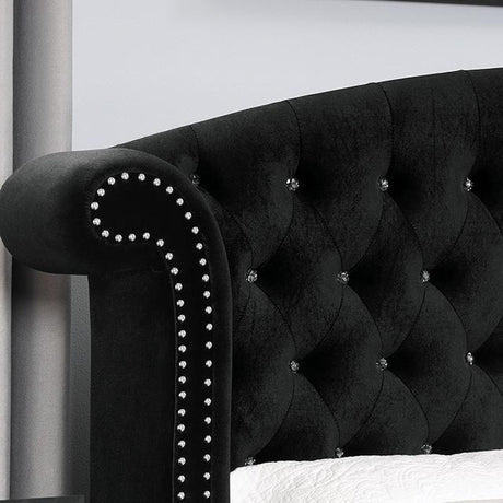 Zohar Bed Black & Pink - Furniture World
