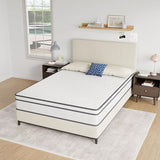 Catmint 10" Full Innerspring Mattress - Furniture World
