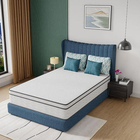 Catmint 12" Full Innerspring Mattress - Furniture World