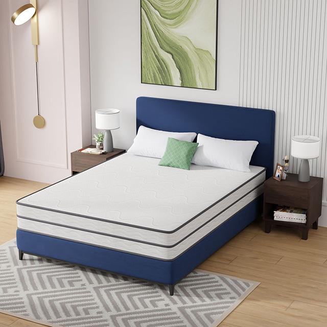 Catmint 10" Queen Innerspring Mattress - Furniture World