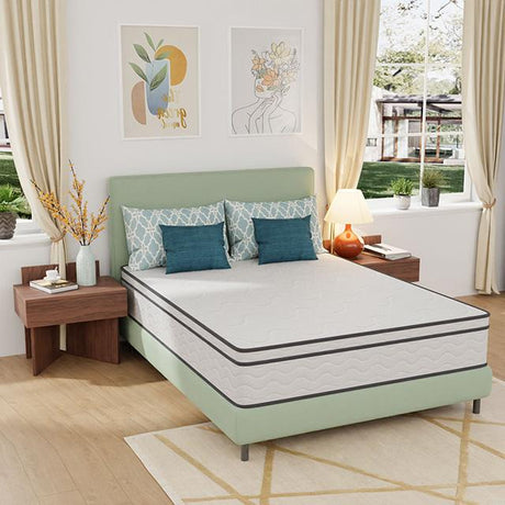 Catmint 12" Queen Innerspring Mattress - Furniture World
