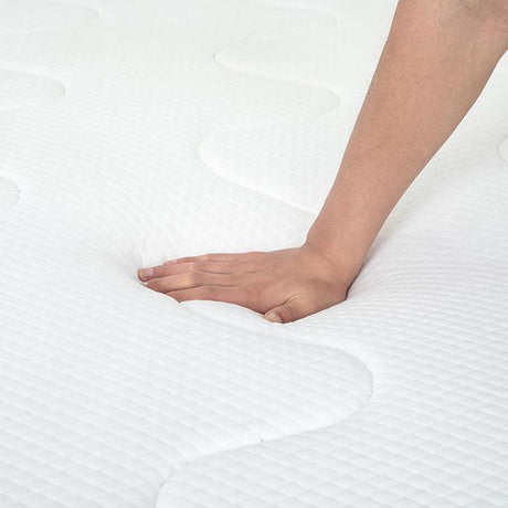 Catmint 10" Queen Innerspring Mattress - Furniture World