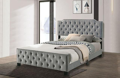 Charlize Bed Grey & Navy - Furniture World