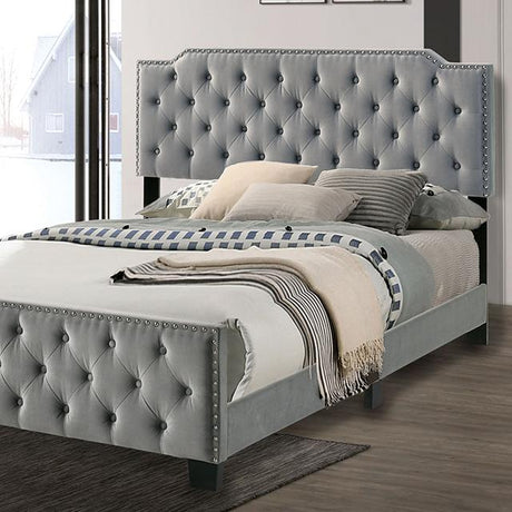 Charlize Bed Grey & Navy - Furniture World