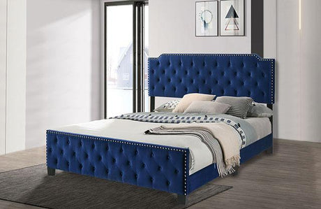 Charlize Bed Grey & Navy - Furniture World