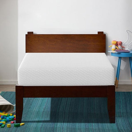 Artemisia 10" E.King, Full, Twin, & Queen Memory Foam Mattress - Furniture World