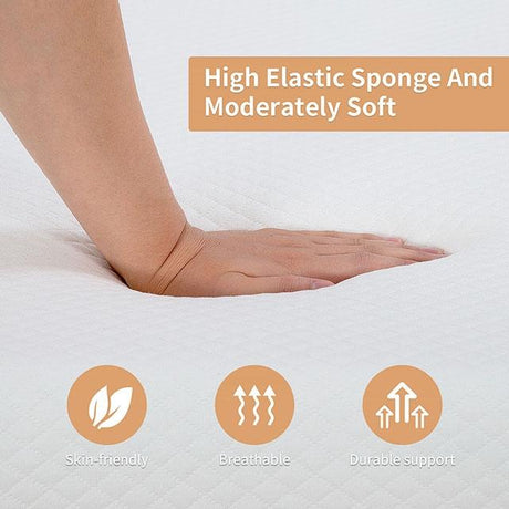 Artemisia 8" Cal. King, E.King, Full, & Queen Memory Foam Mattress - Furniture World