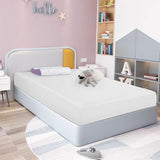 Artemisia 8" Cal. King, E.King, Full, & Queen Memory Foam Mattress - Furniture World