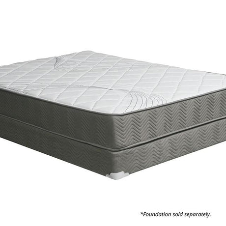 EDREA White/Gray 10" Tight Top Pocket Coil, Queen - Furniture World